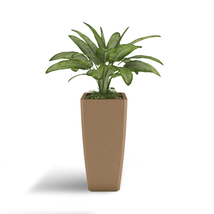 Quartet GFRC Planter in Cappuccino Color - planted