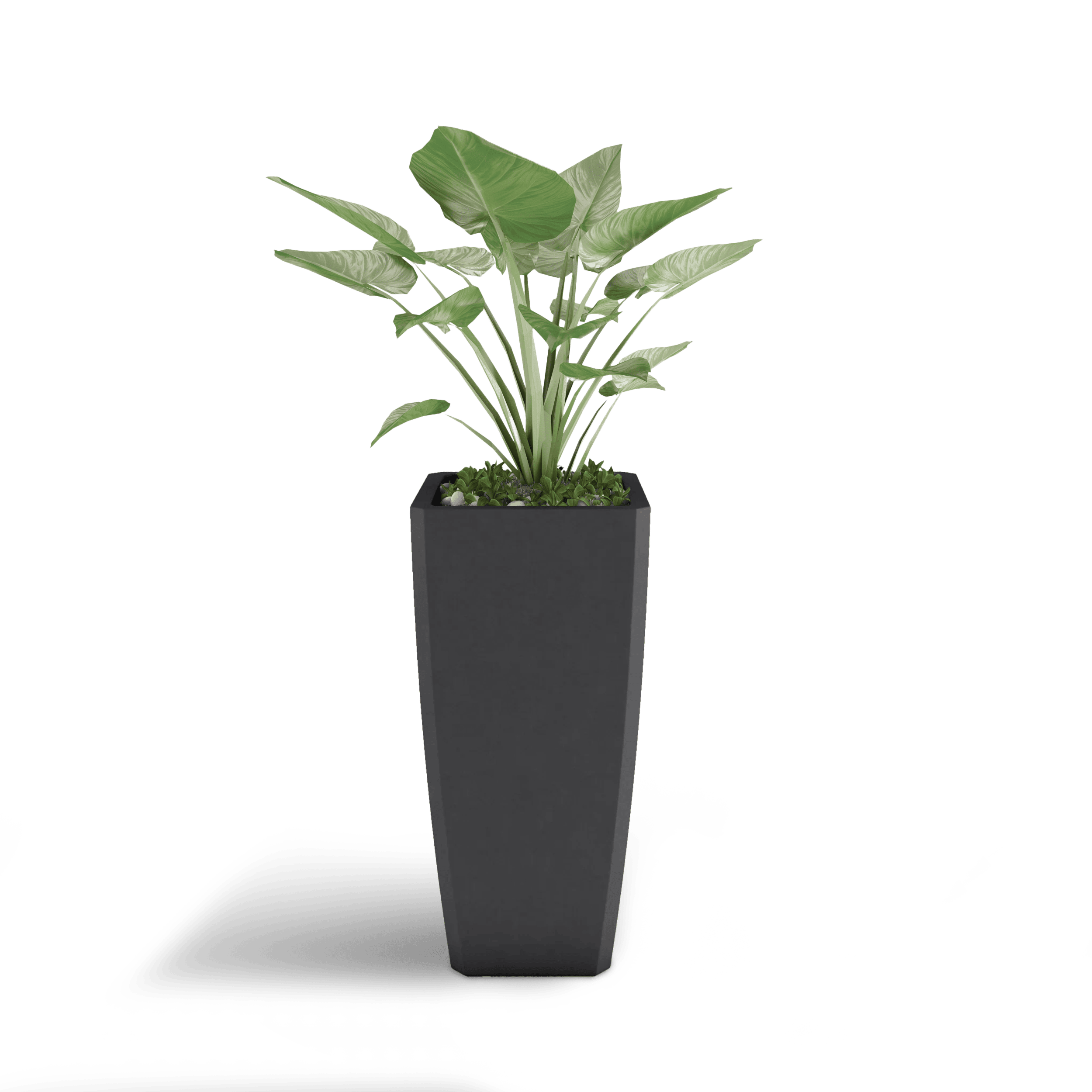 Quartet GFRC Planter in Dark Gray Color - planted