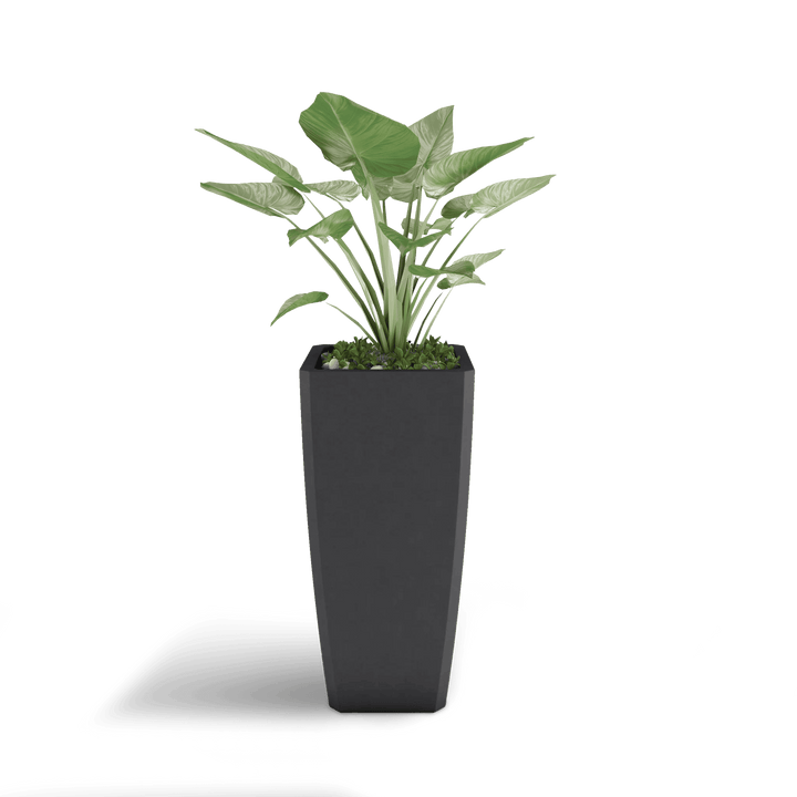 Quartet GFRC Planter in Dark Gray Color - planted