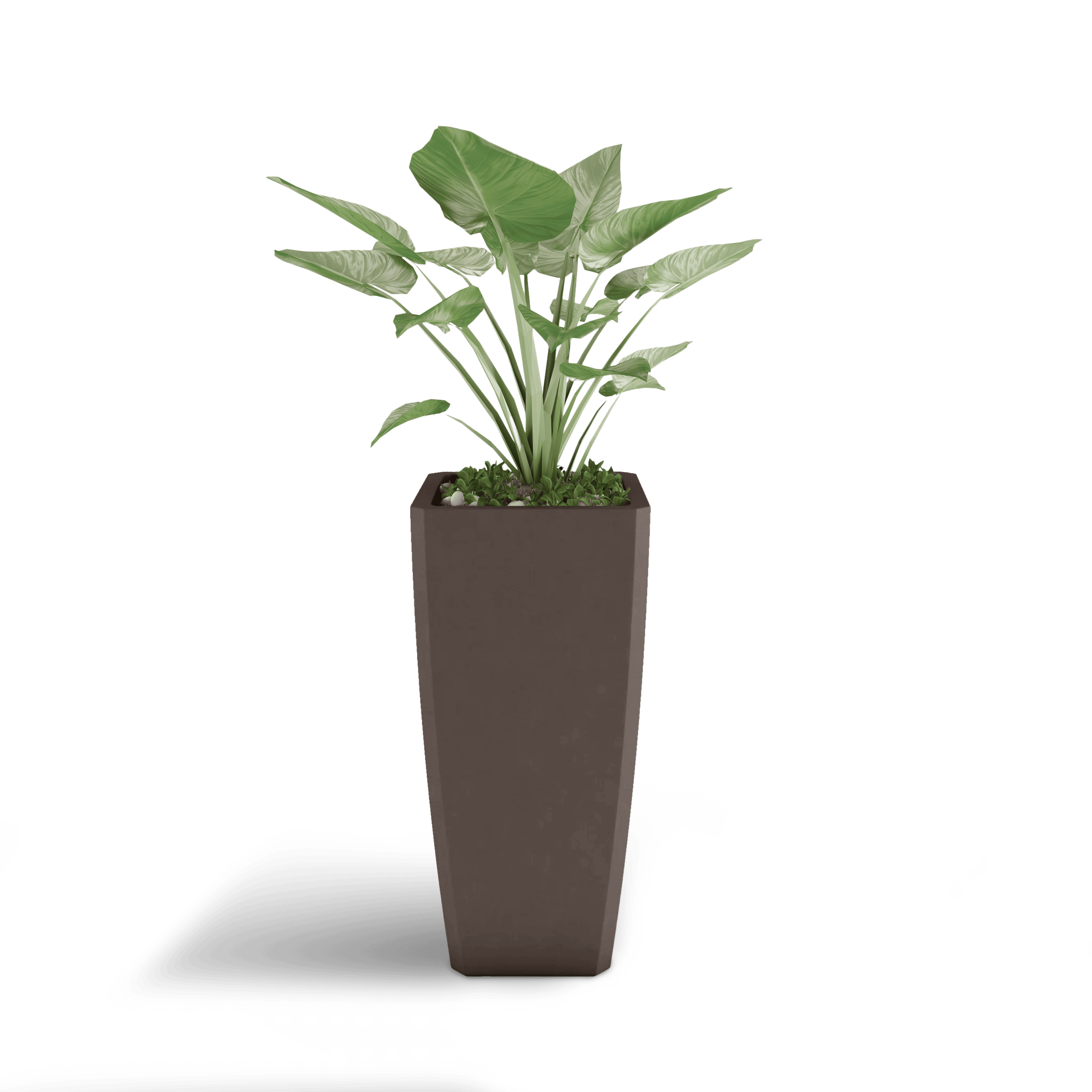 Quartet GFRC Planter in Walnut Color - planted