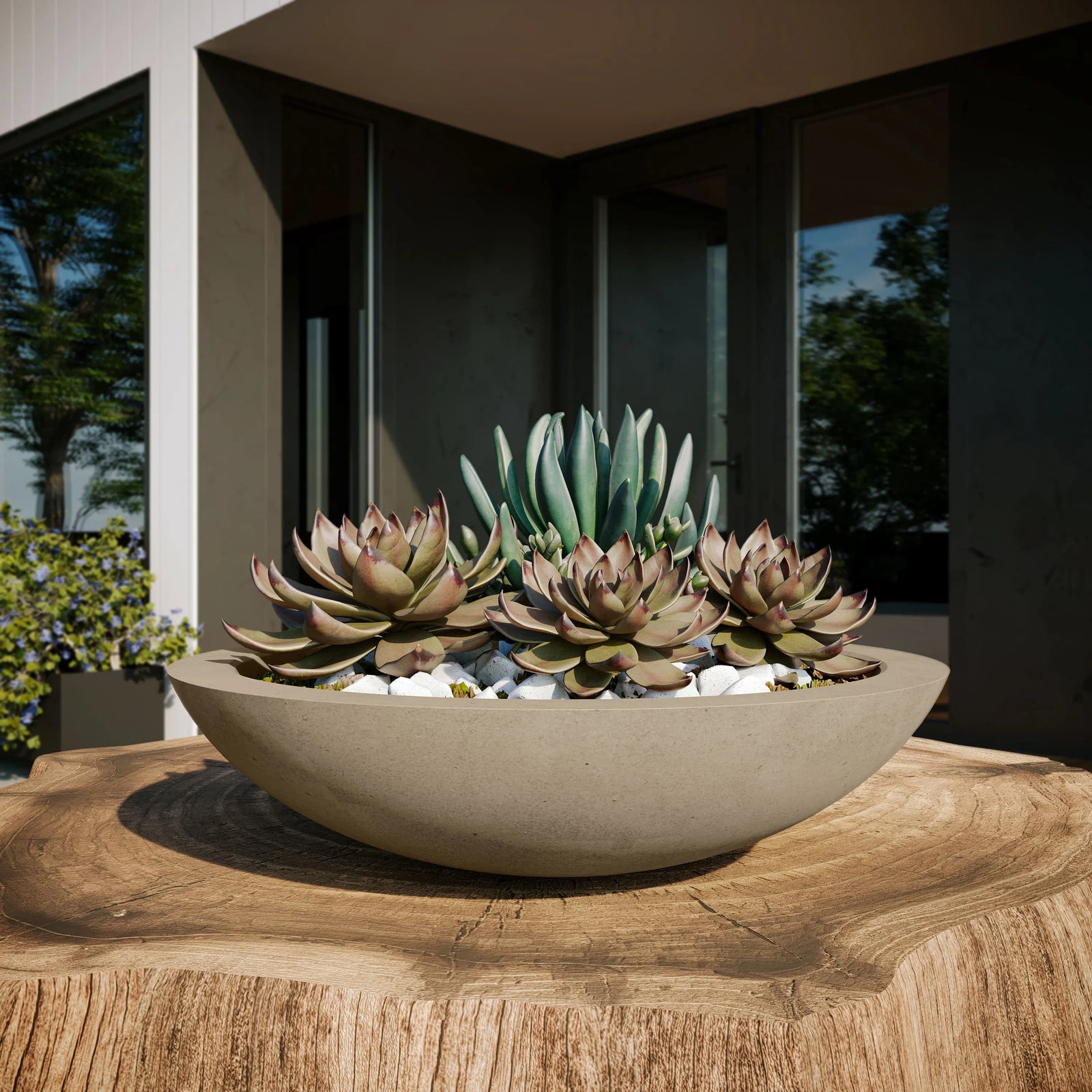Oceanside Outdoor Shallow Planter Sandstone Lifestyle 