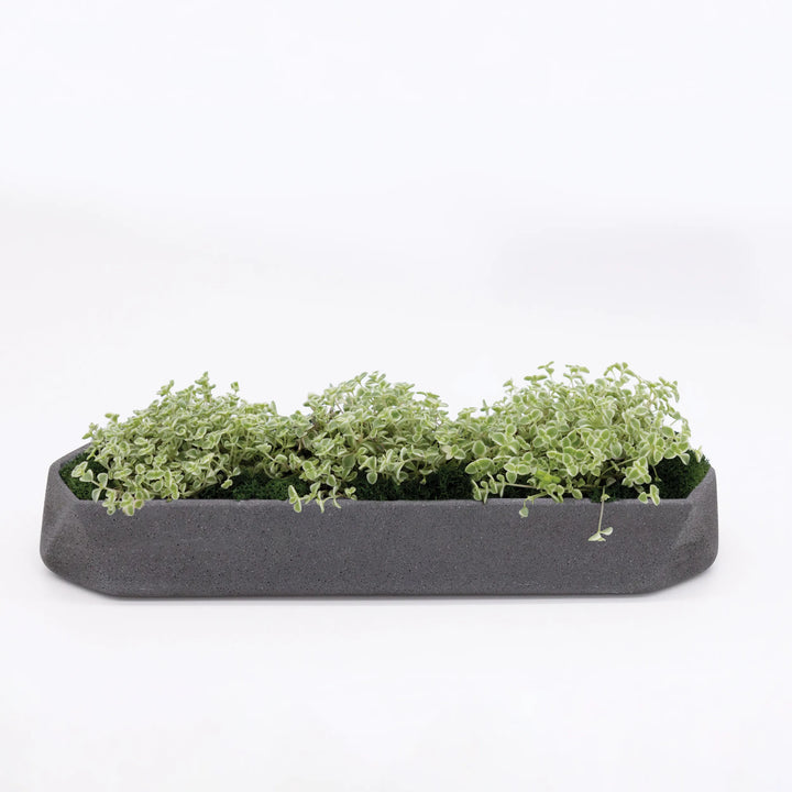 Runner Tabletop Planter Sage