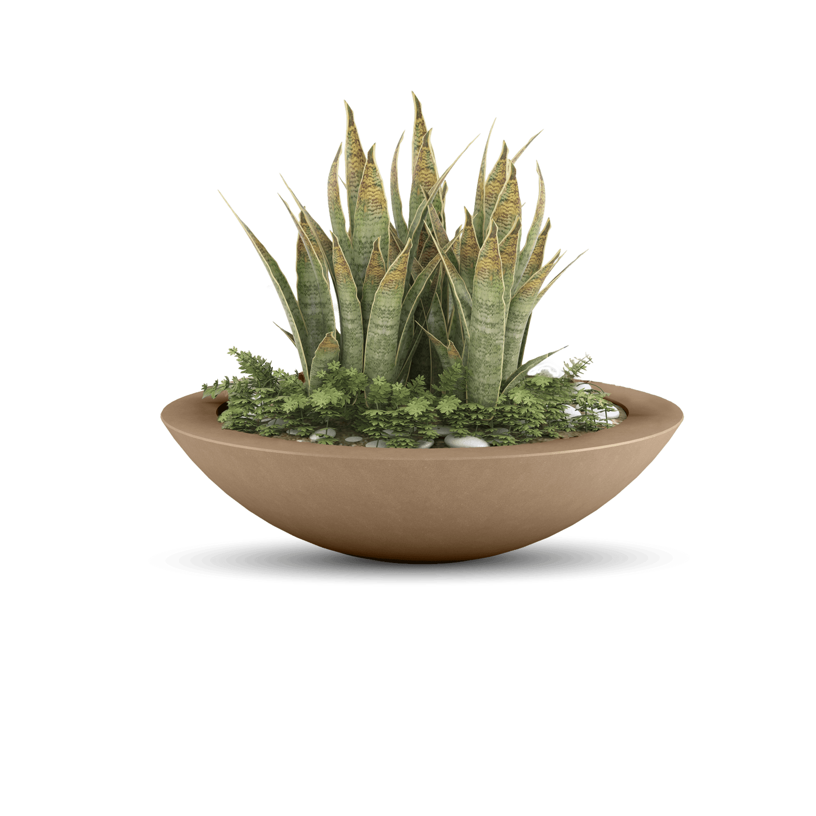 Oceanside Outdoor Shallow Planter in Adobe Buff with Plants