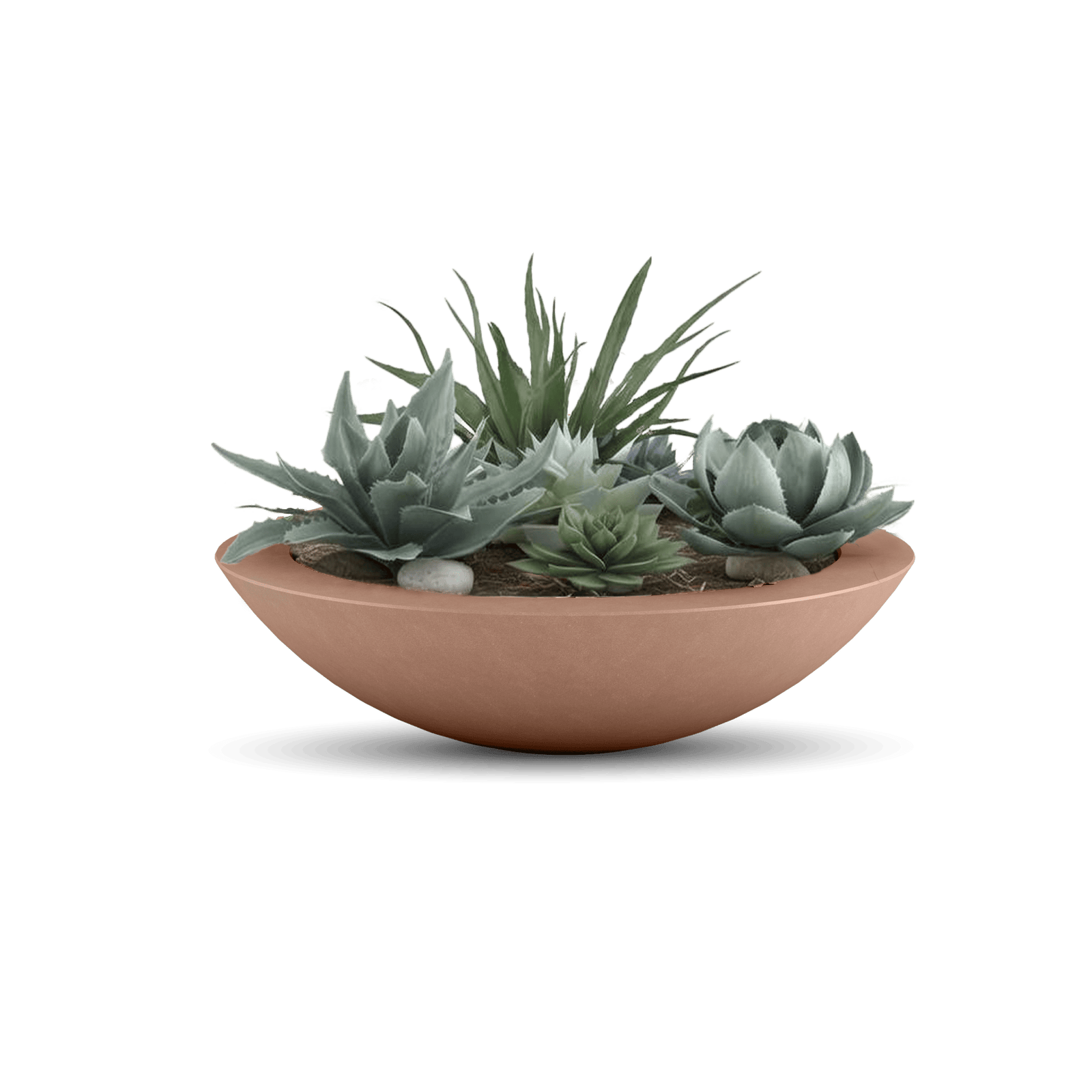 Oceanside Outdoor Shallow Planter in Antique Rose with Plants