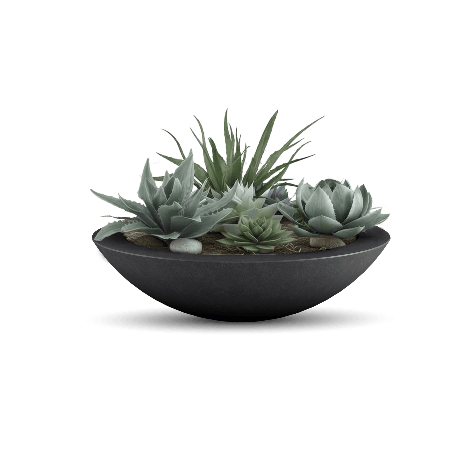 Oceanside Outdoor Shallow Planter in Dark Gray with Plants