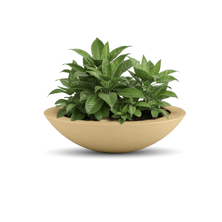 large shallow pots for plants Oceanside Shallow Concrete Planter