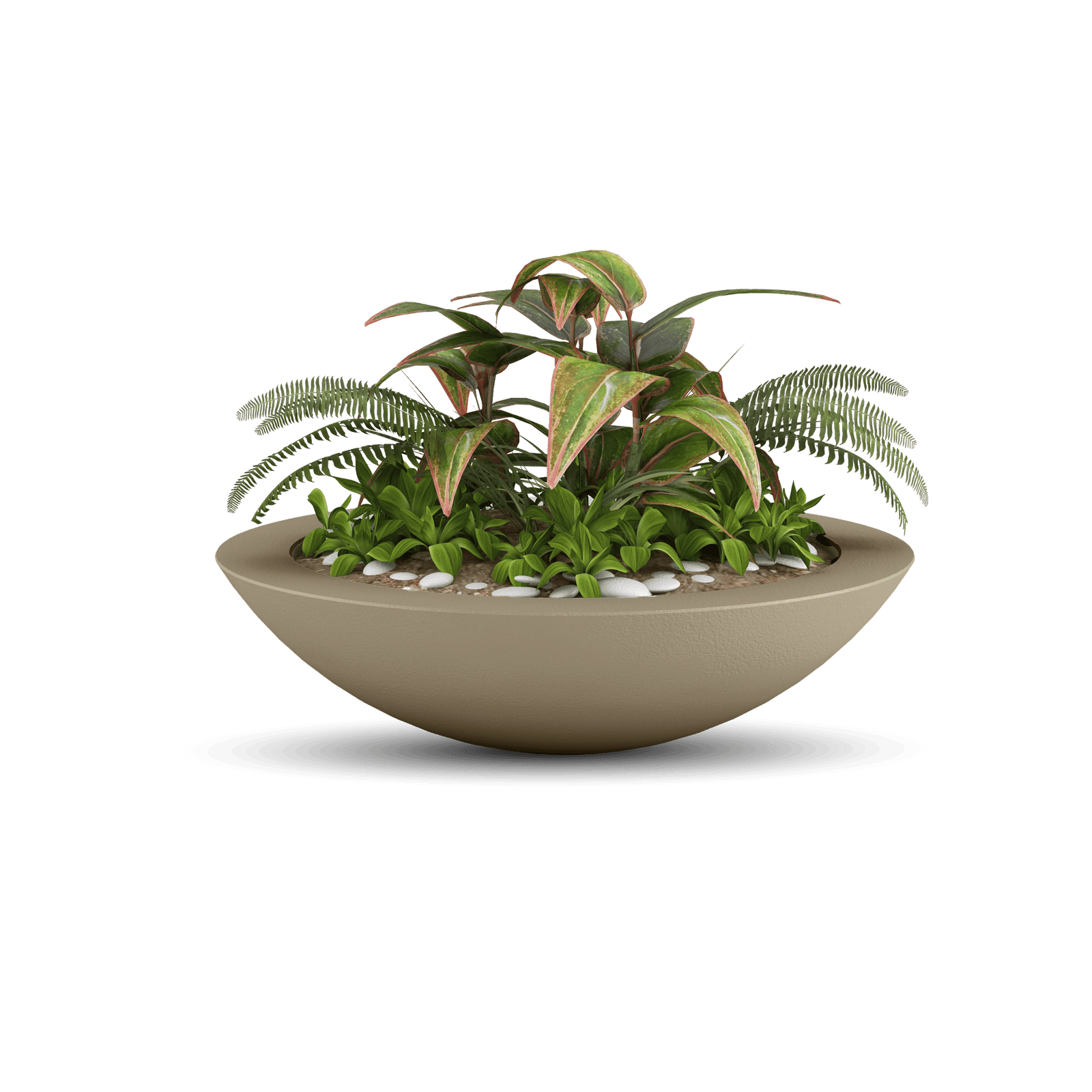 Oceanside Outdoor Shallow Planter in Sandstone with Plants