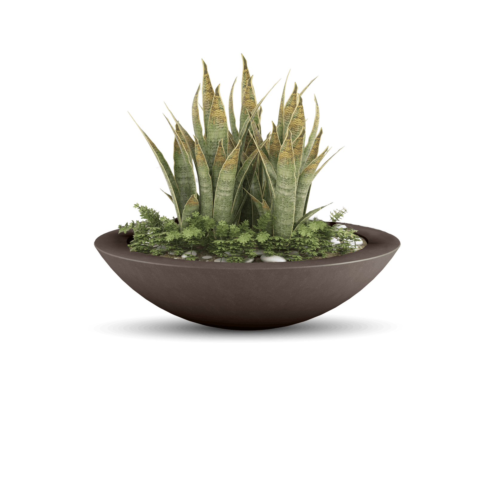 Oceanside Outdoor Shallow Planter in Walnut Color with Plants