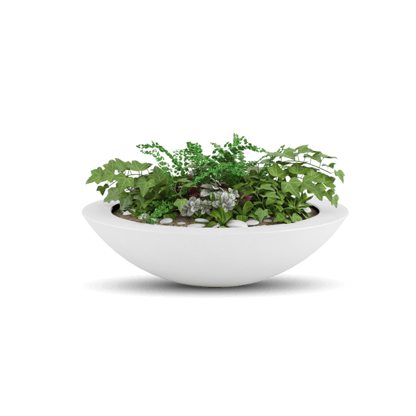Oceanside ModaCAST GFRC shallow bowl planter in White planted with ferns, studio render