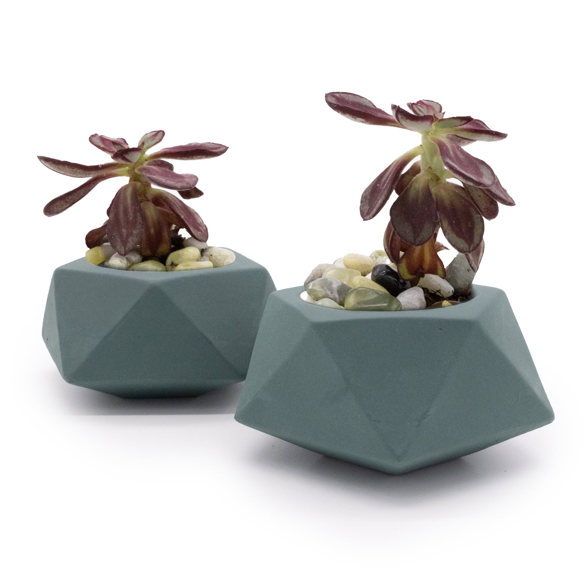 Concrete Mini Tilt Tabletop Planters (Set of 2)