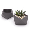 Concrete Mini Wedge Tabletop Planters (Set of 2)